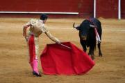 Walka z robakami w Hiszpanii (corrida)