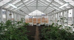 Characteristics of greenhouses with heating